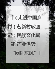 （走进中国乡村）茗新村破圈记：民族文化赋能 产业借势 “网红东风”