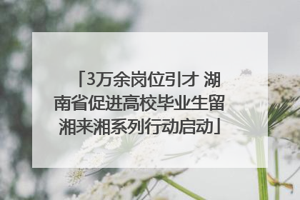 3万余岗位引才 湖南省促进高校毕业生留湘来湘系列行动启动