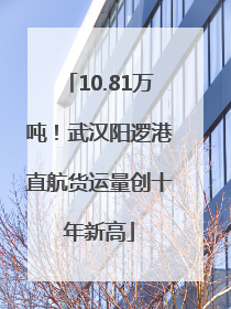 10.81万吨！武汉阳逻港直航货运量创十年新高