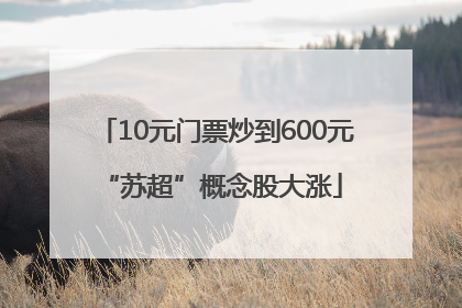 10元门票炒到600元 “苏超”概念股大涨