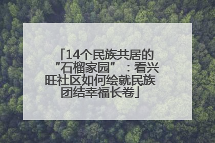 14个民族共居的“石榴家园”：看兴旺社区如何绘就民族团结幸福长卷