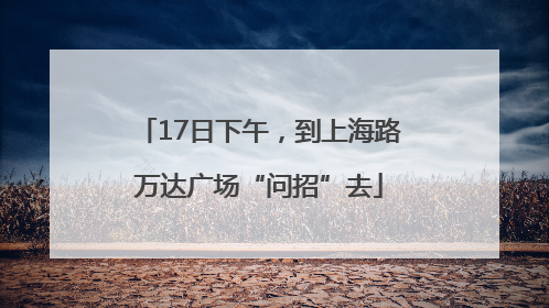 17日下午，到上海路万达广场“问招”去