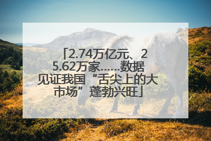 2.74万亿元、25.62万家……数据见证我国“舌尖上的大市场”蓬勃兴旺