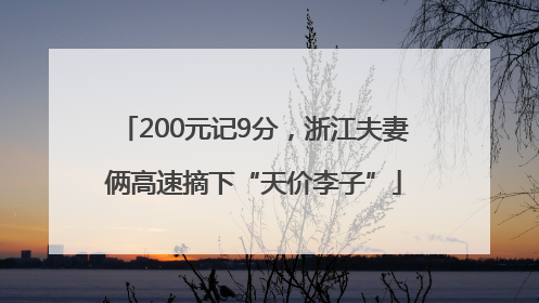 200元记9分，浙江夫妻俩高速摘下“天价李子”