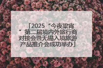 2025“今夜梁宵”第二届境内外旅行商对接会暨无锡入境旅游产品推介会成功举办
