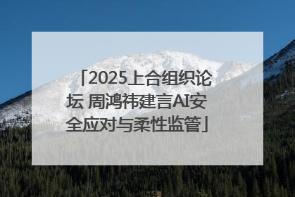 2025上合组织论坛 周鸿祎建言AI安全应对与柔性监管