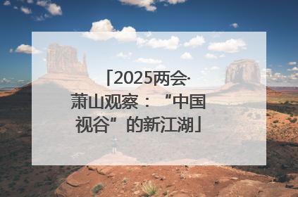 2025两会·萧山观察：“中国视谷”的新江湖