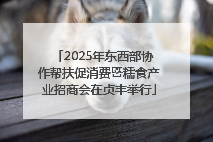2025年东西部协作帮扶促消费暨糯食产业招商会在贞丰举行