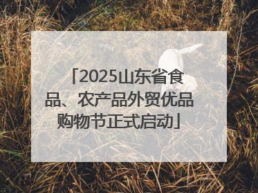 2025山东省食品、农产品外贸优品购物节正式启动