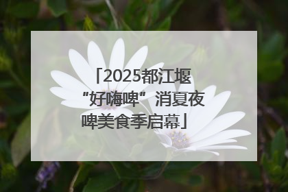 2025都江堰“好嗨啤”消夏夜啤美食季启幕