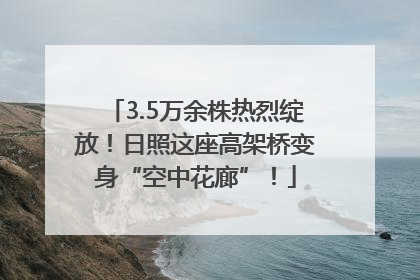 3.5万余株热烈绽放！日照这座高架桥变身“空中花廊”！
