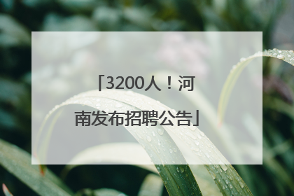3200人！河南发布招聘公告
