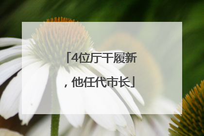 4位厅干履新，他任代市长