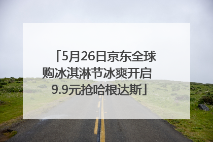 5月26日京东全球购冰淇淋节冰爽开启 9.9元抢哈根达斯