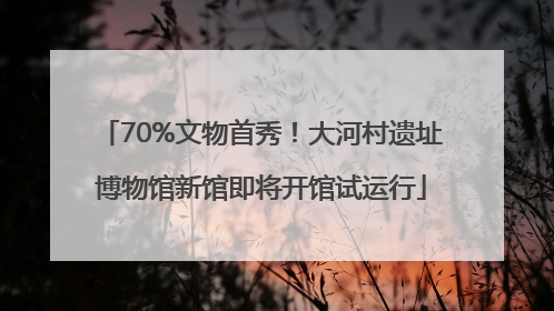 70%文物首秀！大河村遗址博物馆新馆即将开馆试运行
