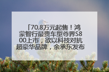70.8万元起售！鸿蒙智行最贵车型尊界S800上市，欲以科技对抗超豪华品牌，余承东发布会未提及迈巴赫