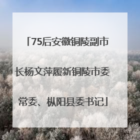 75后安徽铜陵副市长杨文萍履新铜陵市委常委、枞阳县委书记