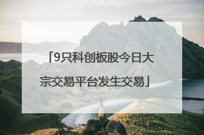 9只科创板股今日大宗交易平台发生交易