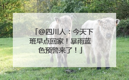 @四川人：今天下班早点回家！暴雨蓝色预警来了！