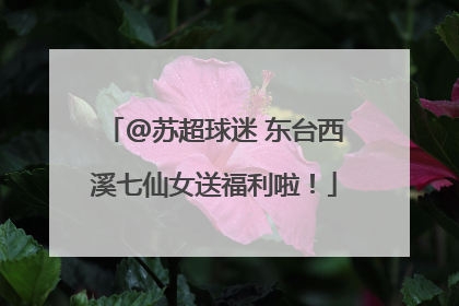 @苏超球迷 东台西溪七仙女送福利啦！